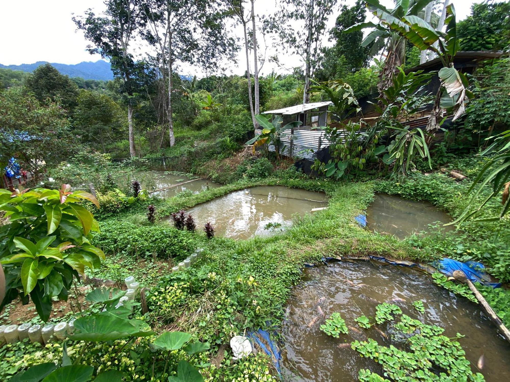 Da Family Mini Garden Hotel Ranau Exterior photo